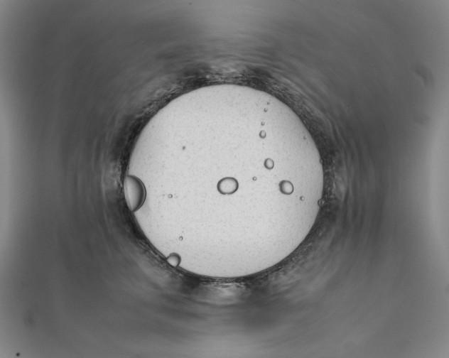 X0000112050711200908250959