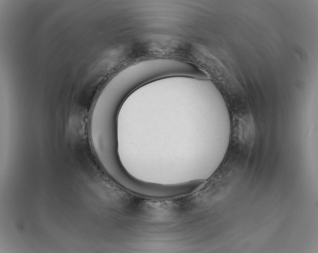 X0000112050712200908250959