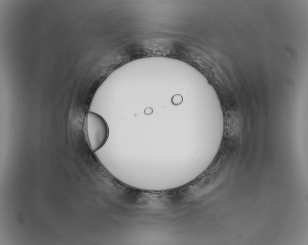 X0000112050713200908250959