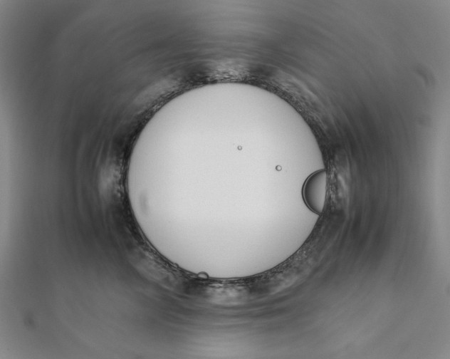 X0000112050714200908250959