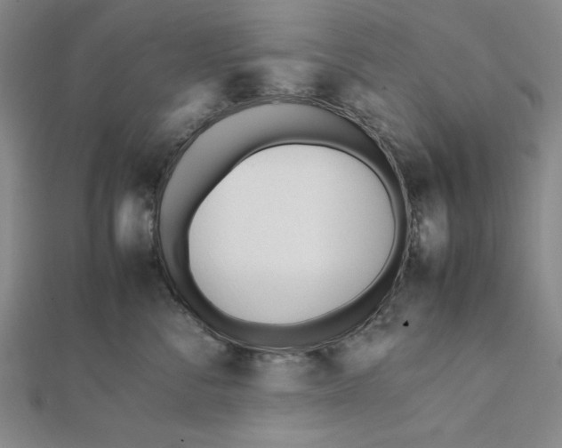 X0000112050716200908250958