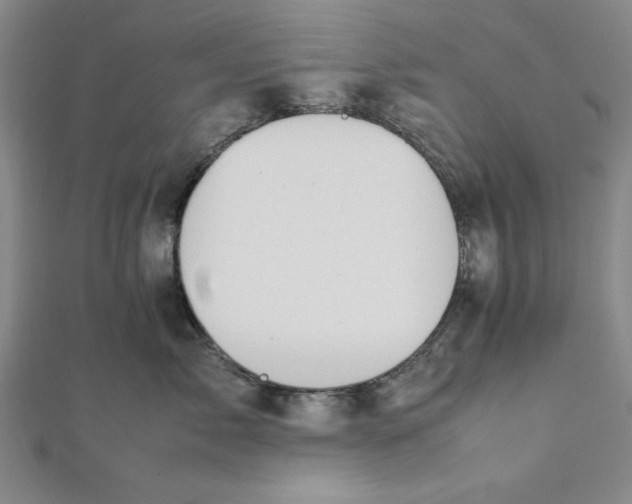 X0000112050717200908250958