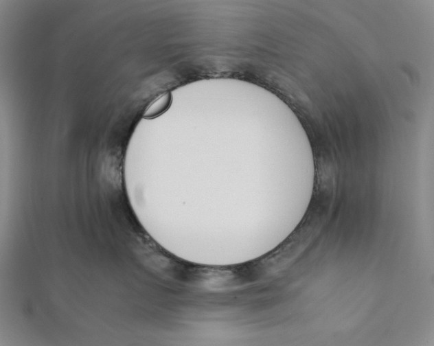 X0000112050719200908250958