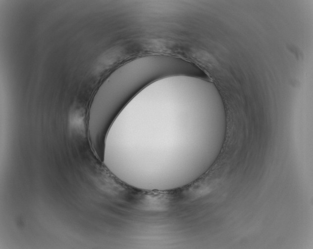 X0000112050720200908250958