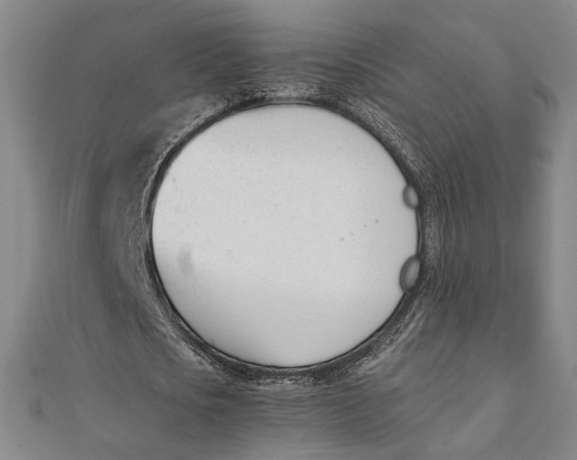 X0000112050721200908250958