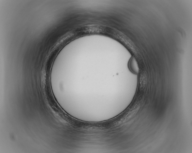 X0000112050722200908250958