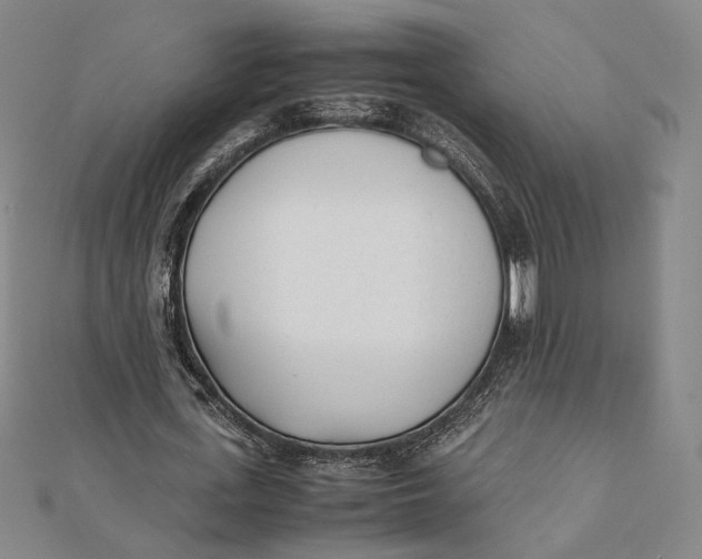 X0000112050723200908250958