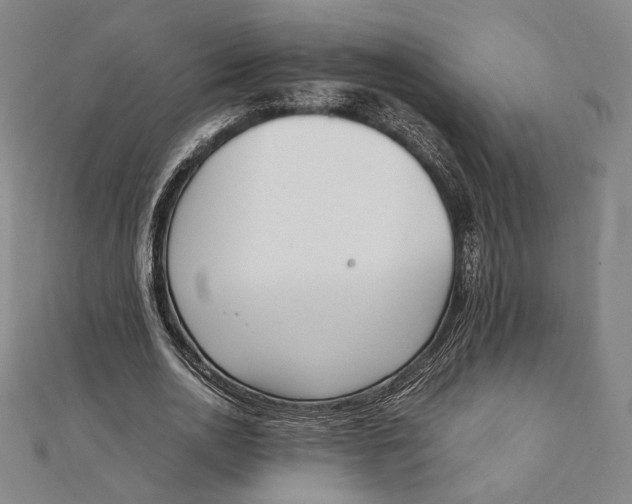 X0000112050726200908250958