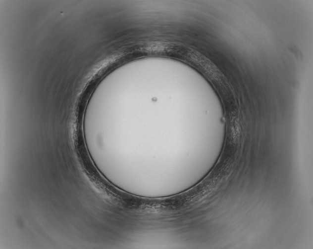 X0000112050728200908250958