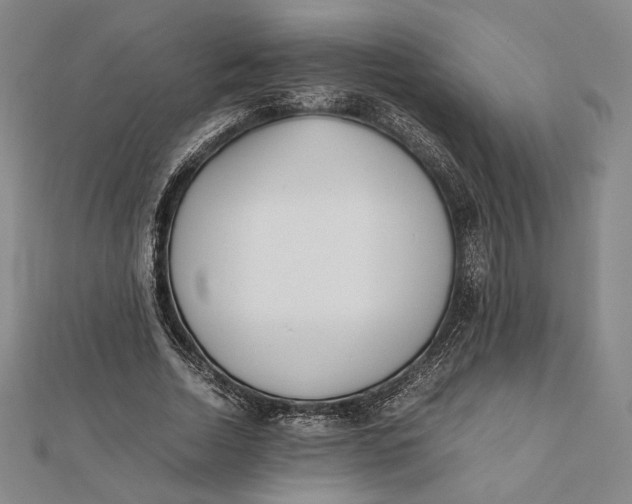 X0000112050730200908250958