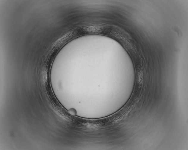 X0000112050733200908250958