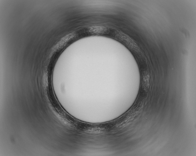 X0000112050734200908250958