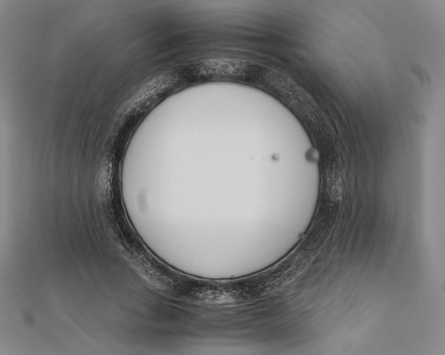 X0000112050735200908250958