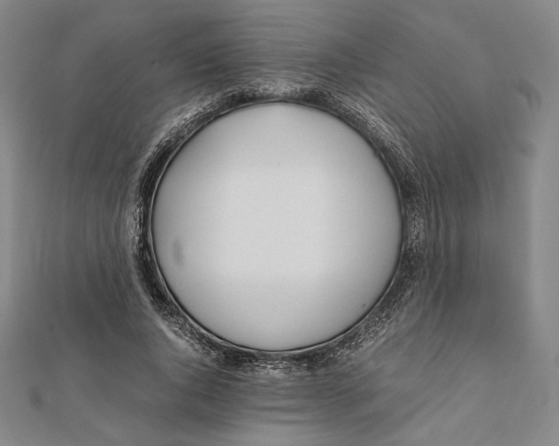 X0000112050736200908250958