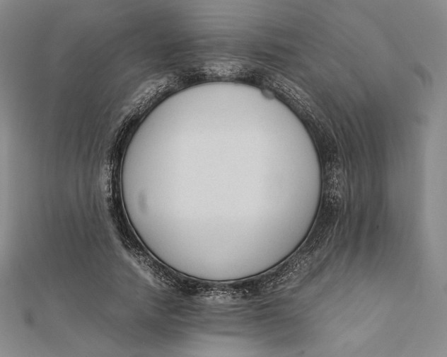 X0000112050738200908250958