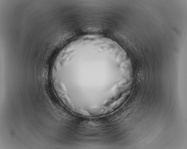 X0000112050739200908250958