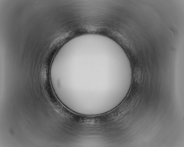 X0000112050740200908250958