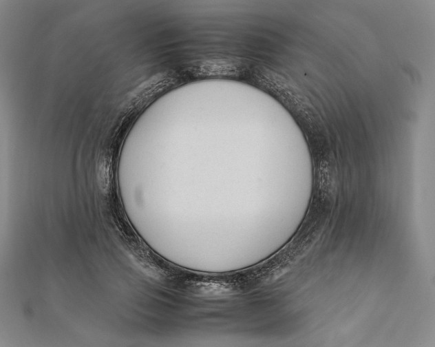 X0000112050741200908250958