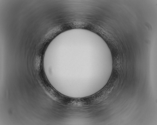 X0000112050742200908250958