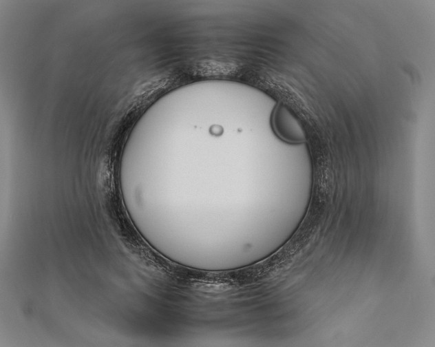 X0000112050743200908250958