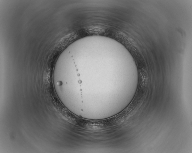 X0000112050745200908250958