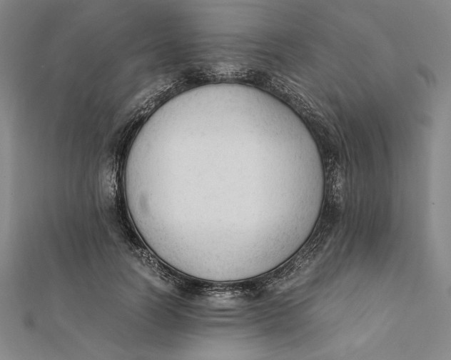 X0000112050746200908250958