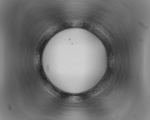 X0000112050748200908250958