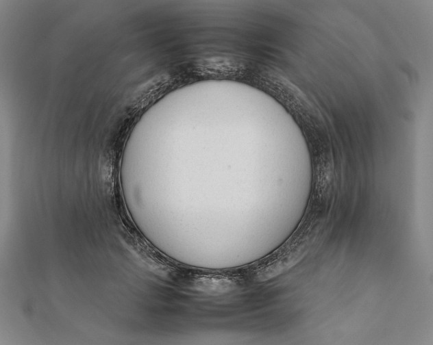 X0000112050749200908250958