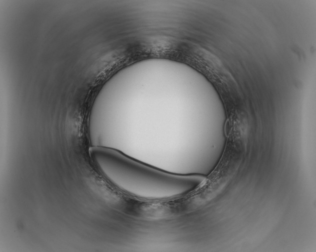 X0000112050750200908250958