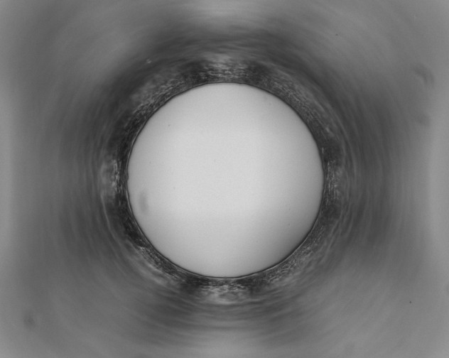 X0000112050752200908250958