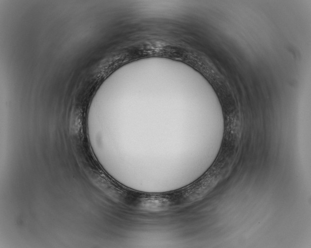 X0000112050754200908250958