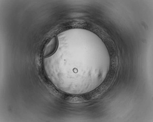 X0000112050755200908250958