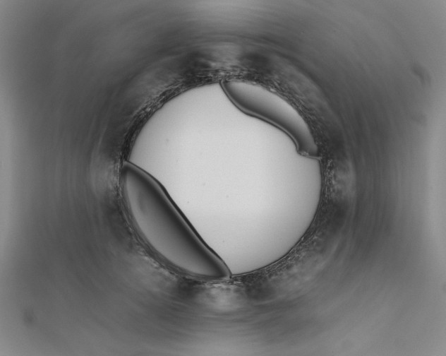 X0000112050756200908250958