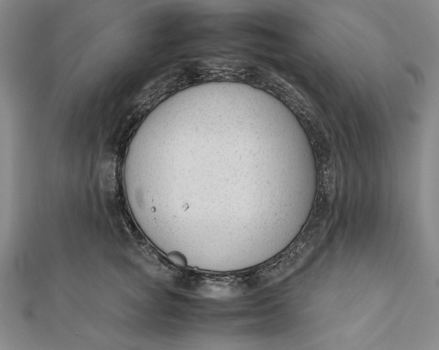 X0000112050757200908250958