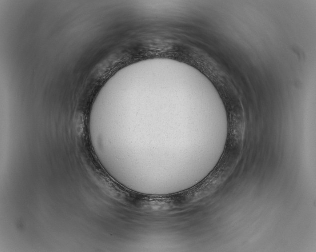 X0000112050758200908250958