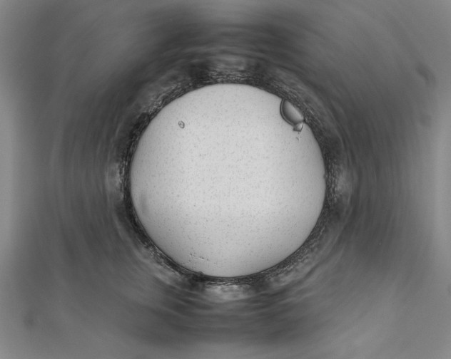 X0000112050759200908250958