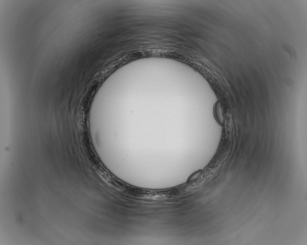 X0000112050760200908250958