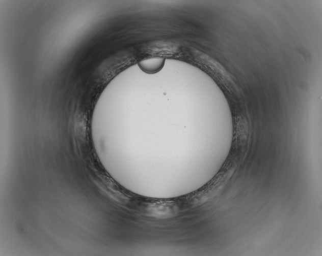 X0000112050761200908250958