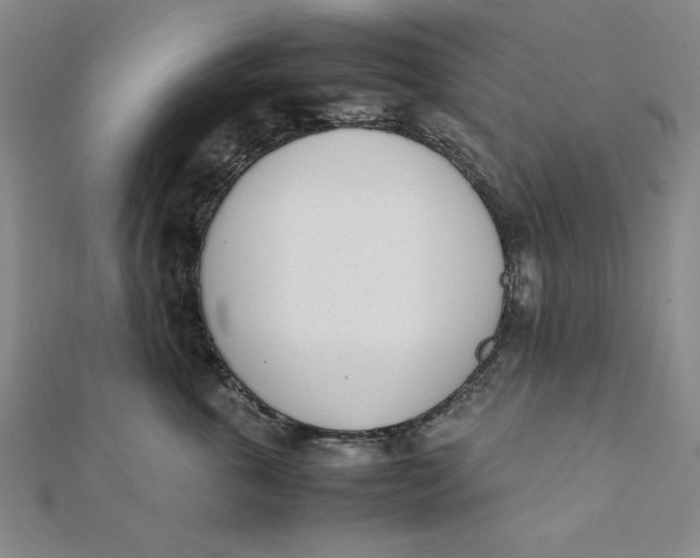 X0000112050763200908250958