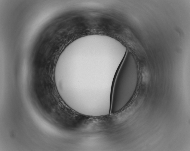 X0000112050764200908250958