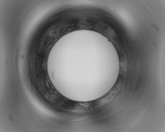 X0000112050765200908250958