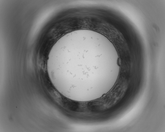 X0000112050766200908250958