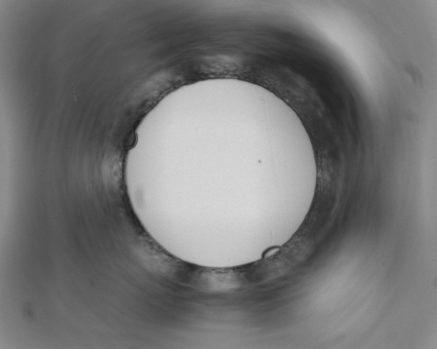 X0000112050767200908250958