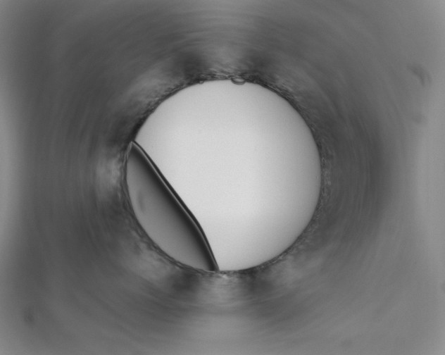 X0000112050768200908250958