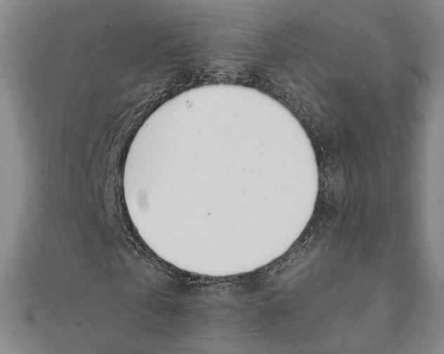 X0000112050769200908250958