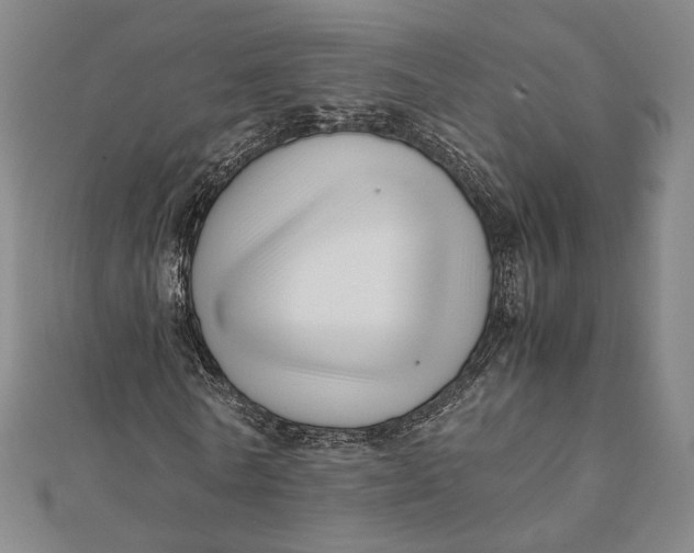 X0000112050770200908250958