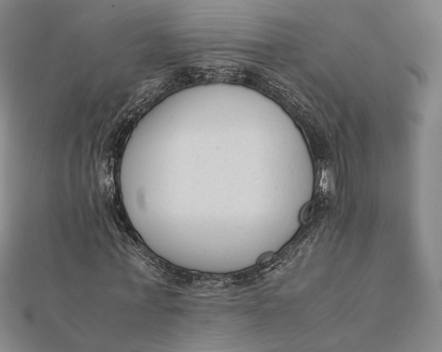 X0000112050771200908250958