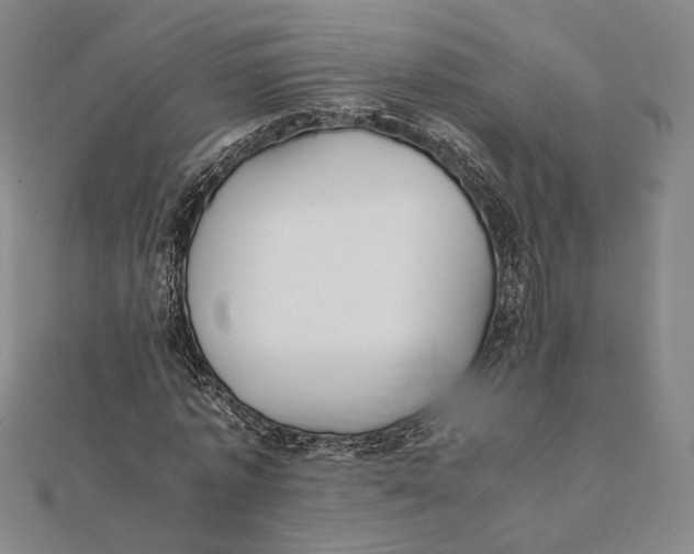 X0000112050773200908250958