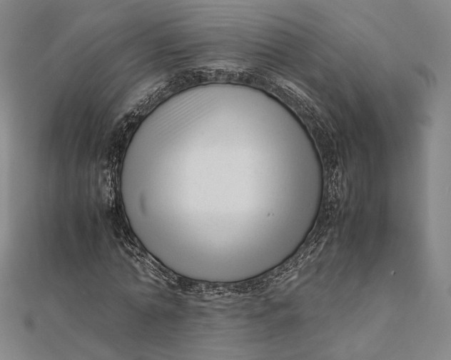 X0000112050774200908250958