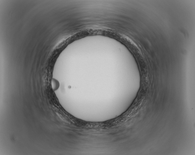 X0000112050775200908250958